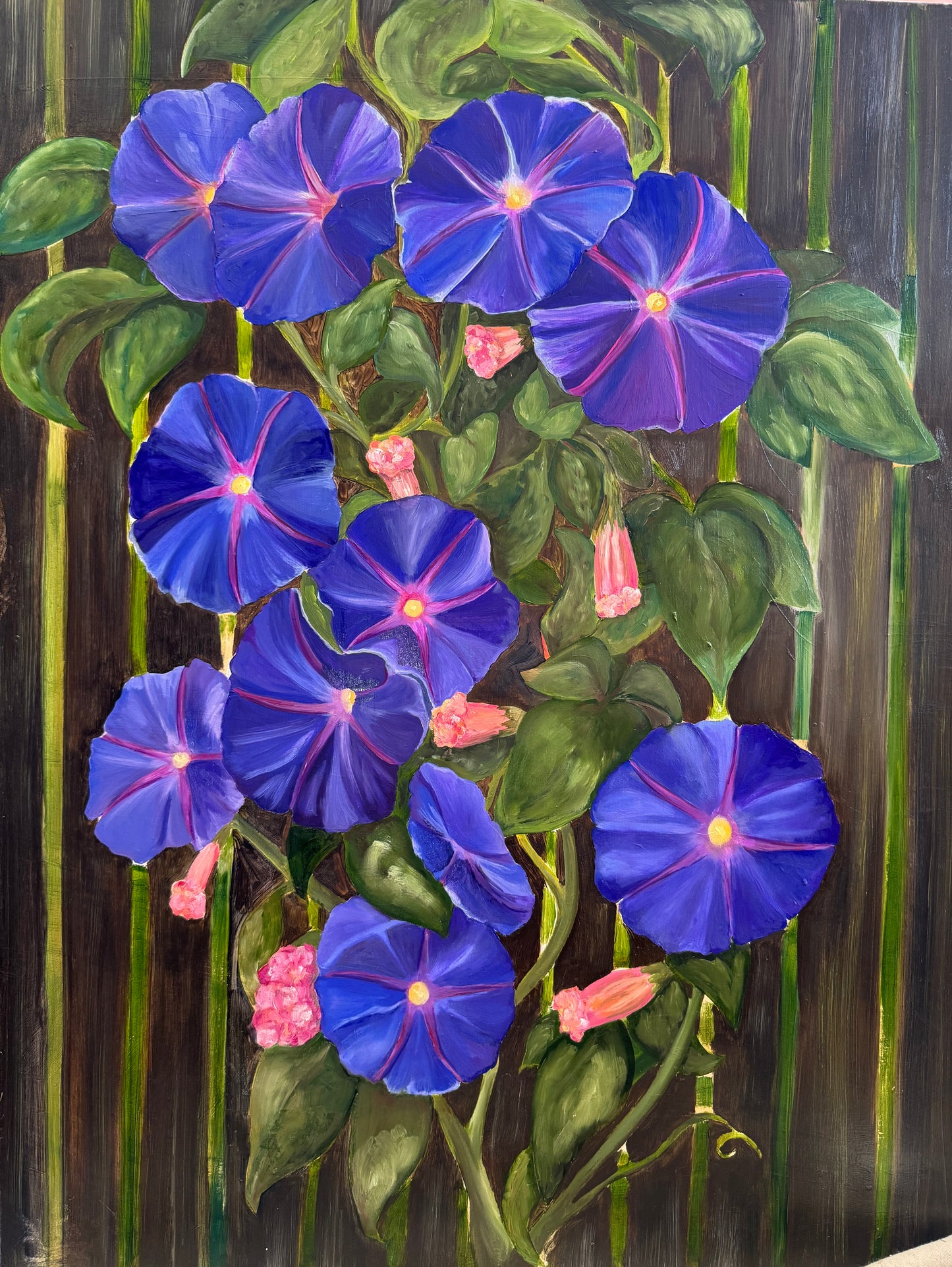 Morning Glories
