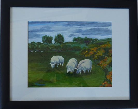 Sheep in a Field