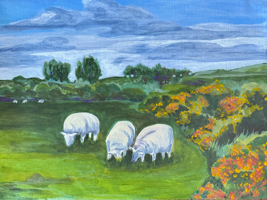 Sheep in a Field