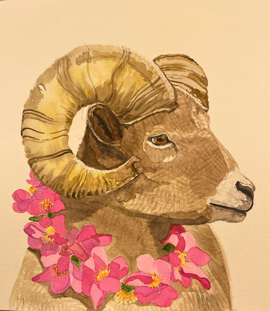 Ram with Lei of Wild Roses