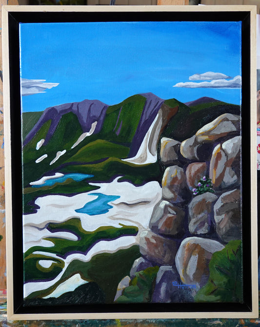 View from Mt. Ida Trail-SOLD